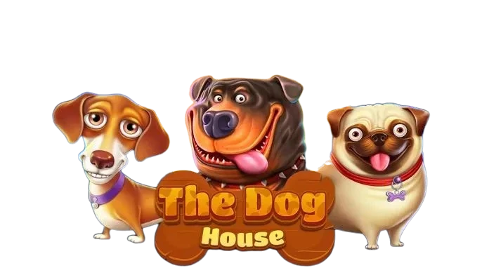 The Dog House